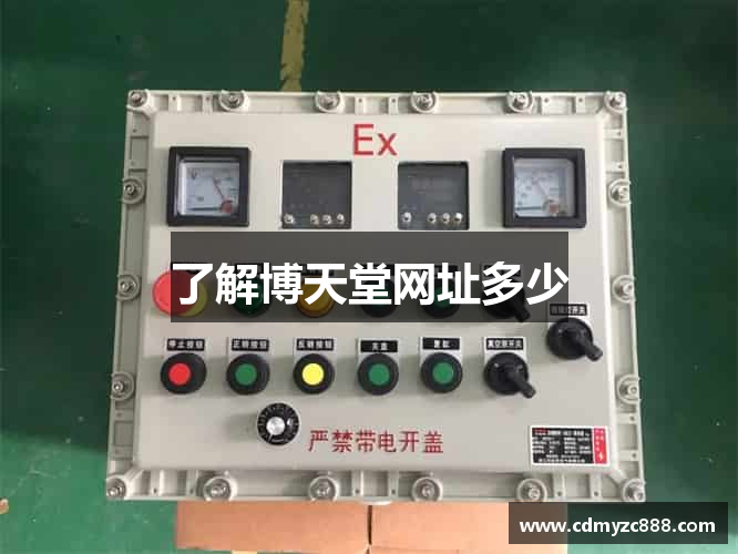 了解博天堂网址多少